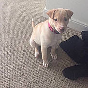 Athena joined the competition — help win amazing prizes!