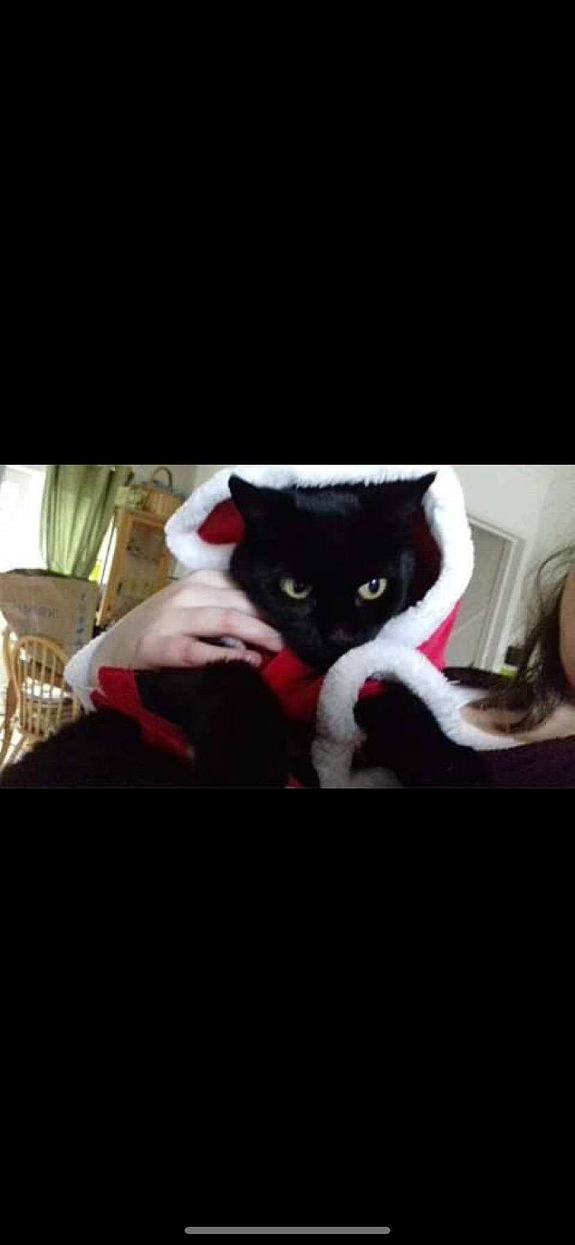 Woffy is registered to the contest to win money with this photo: black_cat, carmine, carnivore, cat, comfort, darkness, domestic_short_haired_cat, felidae, fur, gesture, linens, magenta, paw, selfie, sitting, sleeve, small_to_medium_sized_cats, tail, tints_and_shades, whiskers