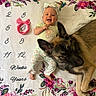 baby, infant, dog, pet, animal, smiling, lying_down, floral_blanket, milestone_blanket, eight_weeks, portrait, indoor, close_up, companion, friendship, family, patterned_fabric, onesie, happy, cute