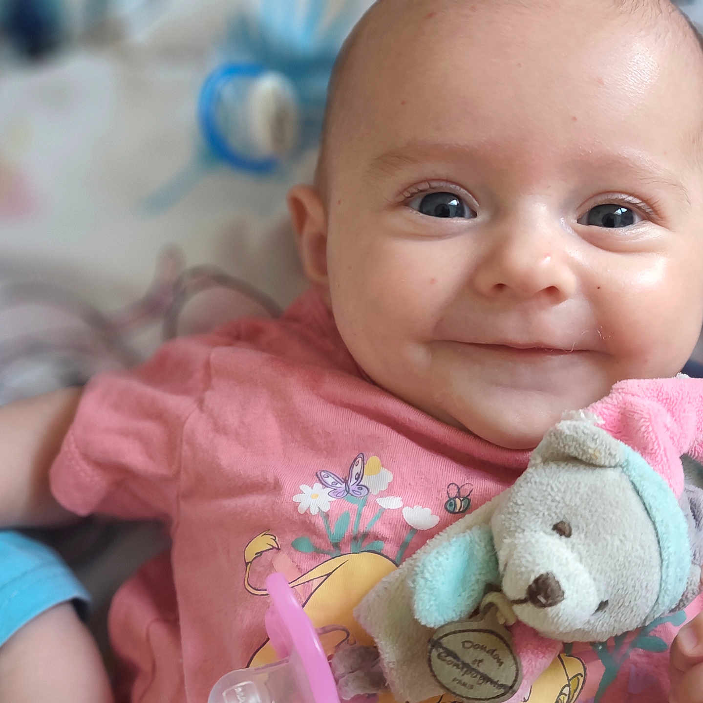 Eva participe au concours pour gagner de l'argent avec cette photo : baby, smiling, plush_toy, pink_shirt, blue_eyes, infant, cute, child, soft_toy, portrait, happy, closeup, indoor, skin, hand, clothing, person, young_child, toddler, expression