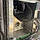 Gus