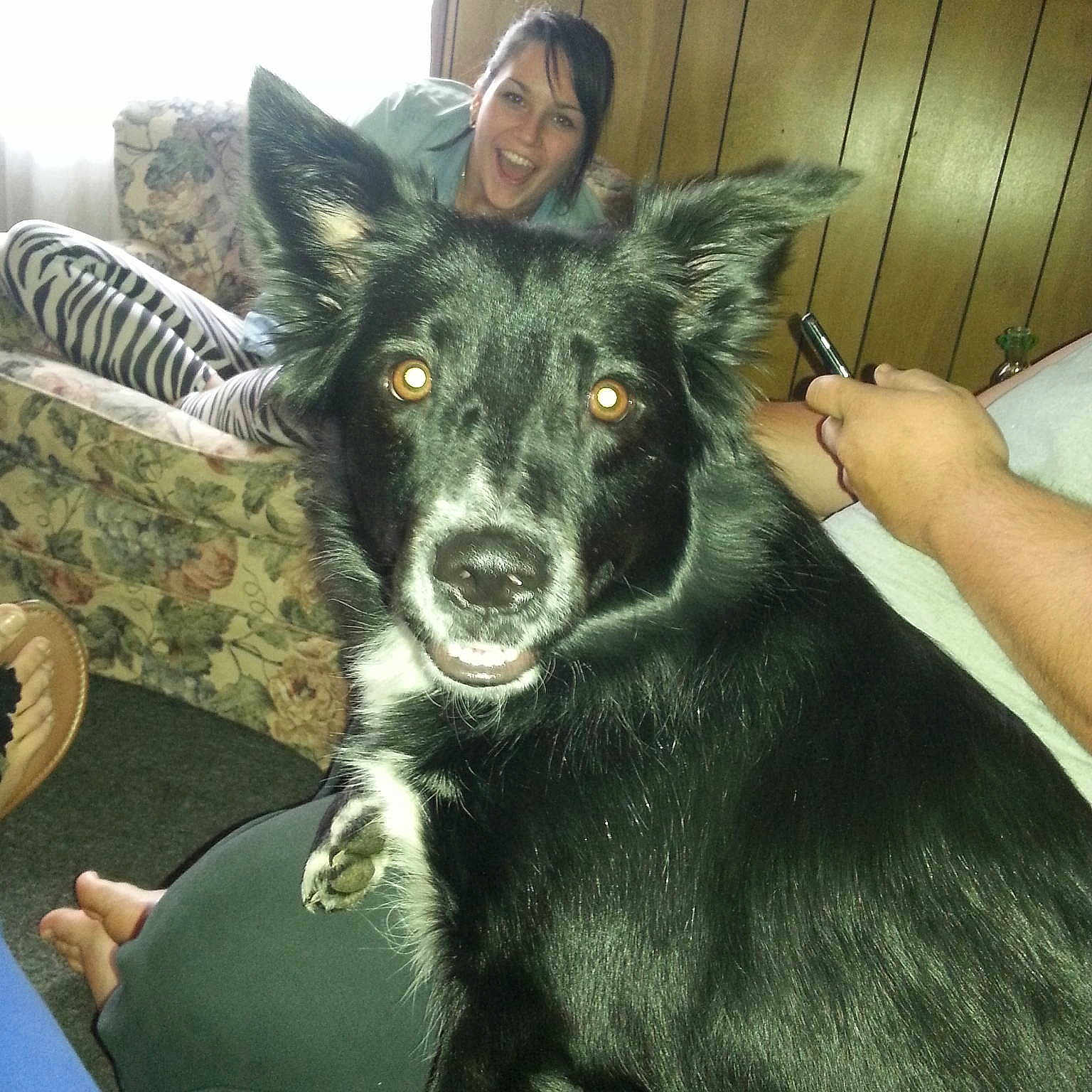 Lolabee is registered to the contest to win money with this photo: