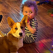 Bart joined the competition — help win amazing prizes! toddler, dog, corgi, striped_clothing, wooden_floor, christmas_tree, christmas_lights, indoor, pet, child, pajamas, curly_hair, floor_reflection, festive, holiday, cute, sitting, looking, ears, playful
