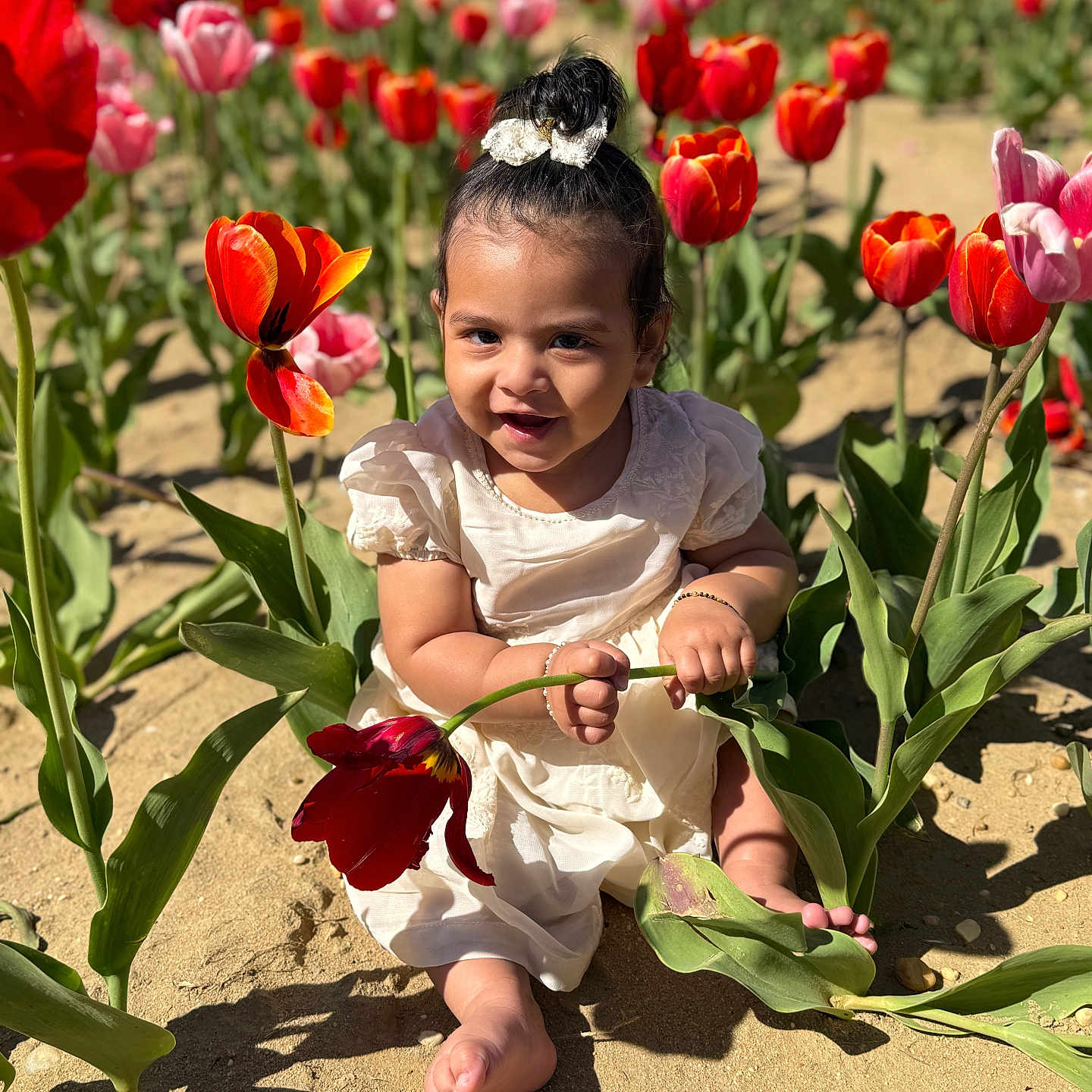 Azaleía joined the competition — help win amazing prizes! barefoot, child, cute, daylight, dress, field, flower, garden, greenery, happy, nature, outdoor, plant, playful, sand, smile, spring, sunlight, toddler, tulip