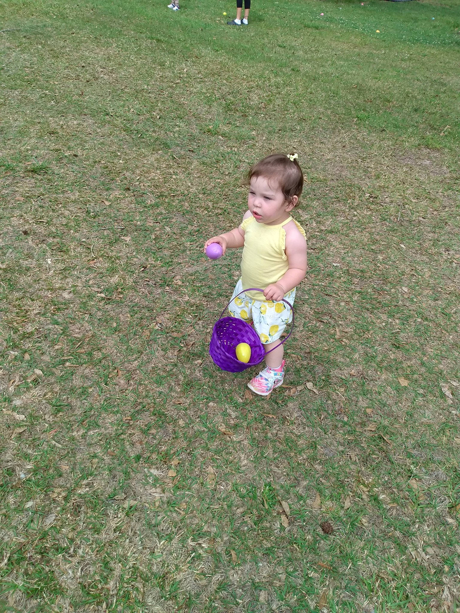 Gracie joined the competition — help win amazing prizes! baby, ball, child, flooring, fun, garden, grass, grass_family, grassland, lawn, leisure, people_in_nature, person, plant, play, recreation, soil, sports_equipment, sports_toy, toddler