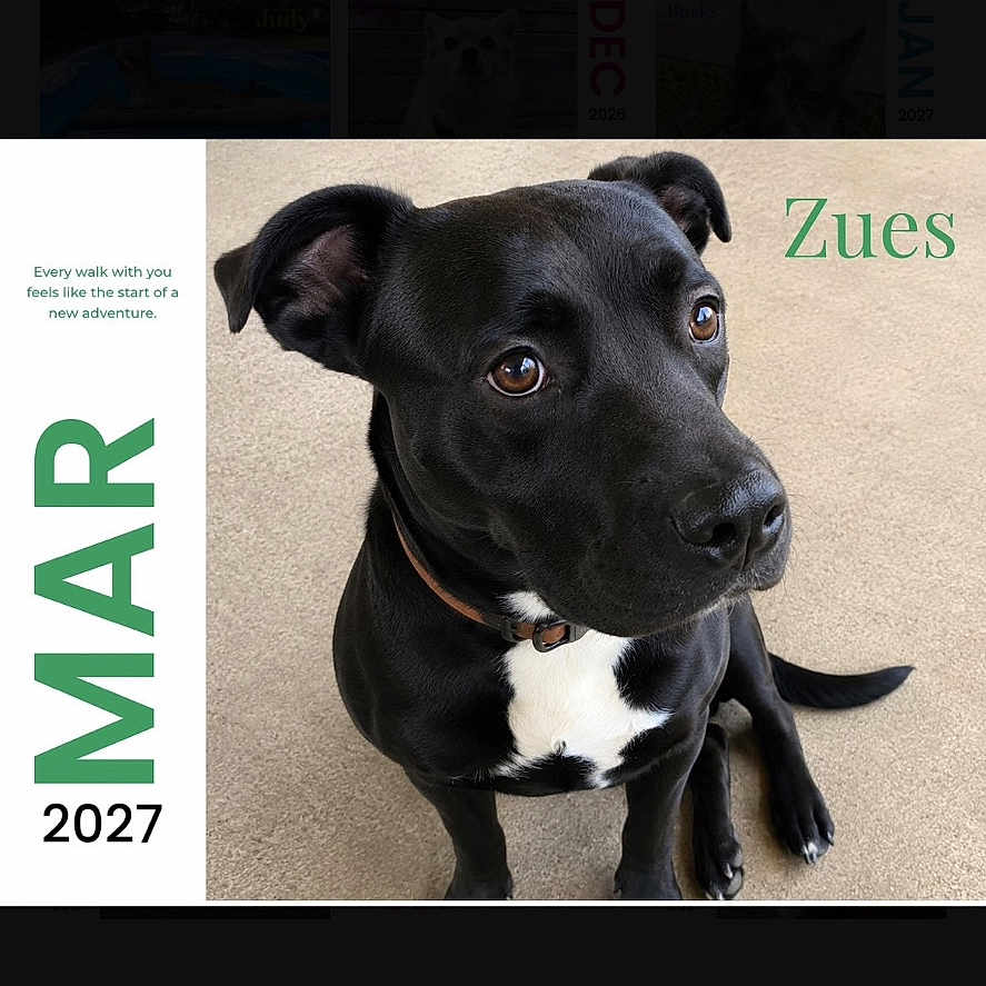 Zeus