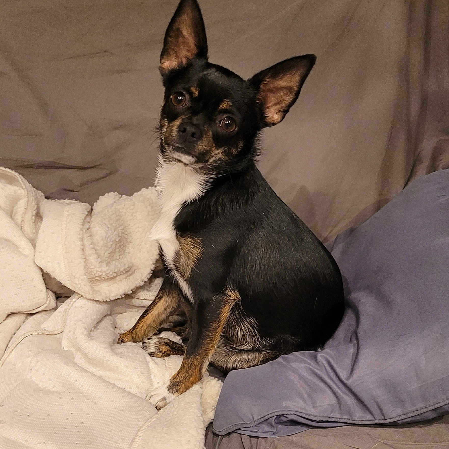 Luna