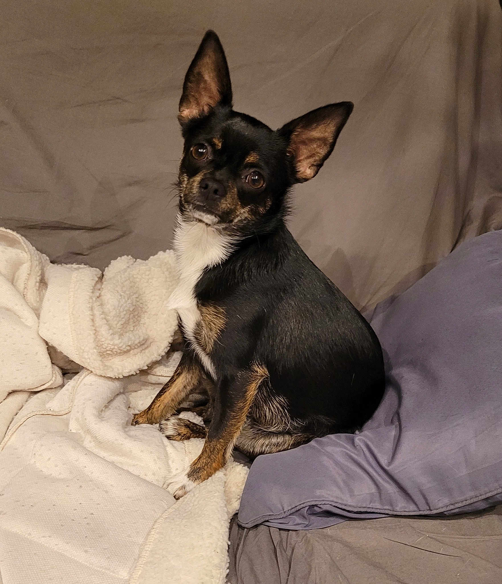 Luna