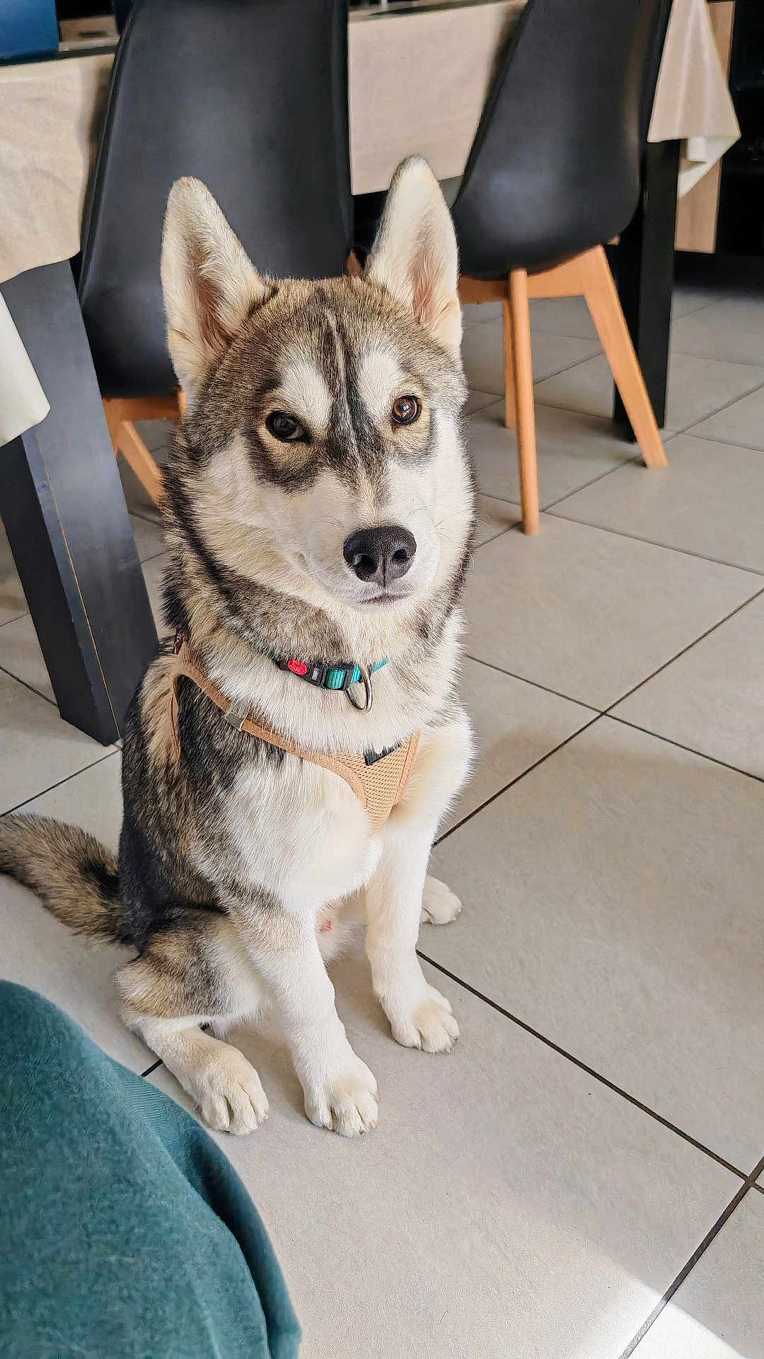 Aïko
