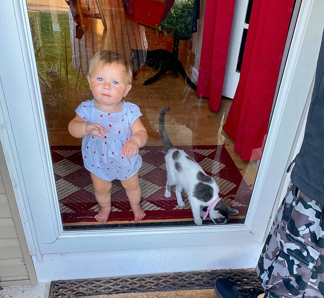 Sawyer is registered to the contest to win money with this photo: baby, baby_toddler_clothing, carnivore, cat, companion_dog, dog_breed, fawn, felidae, floor, flooring, home, mammal, pattern, person, red, room, small_to_medium_sized_cats, sporting_group, standing, toddler