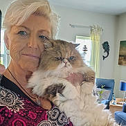 Pippi joined the competition — help win amazing prizes! blue_chair, cat, cozy, curtains, domestic_animal, elderly_person, face, fluffy_cat, furniture, holding, indoor, living_room, necklace, patterned_clothing, pet, plant, portrait, smile, window, woman