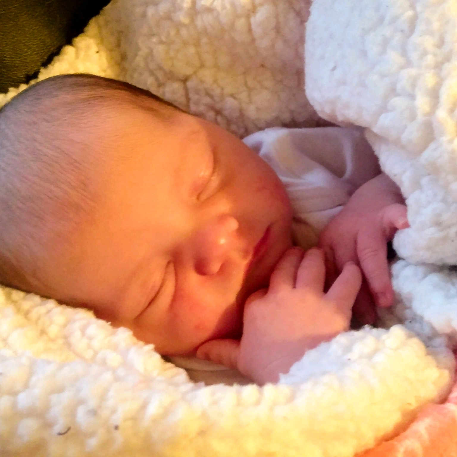 Mazie Renee