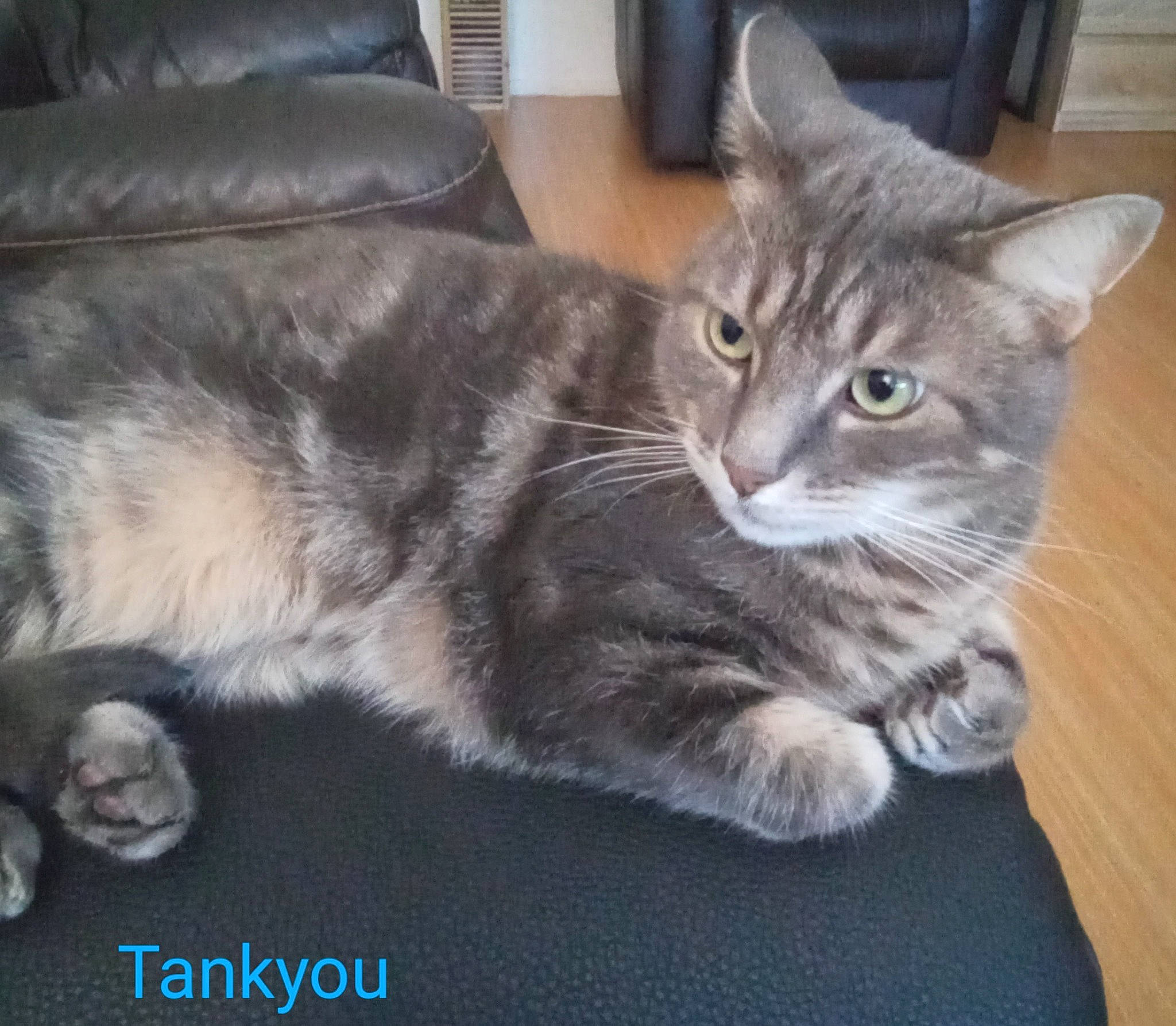 Tankyou