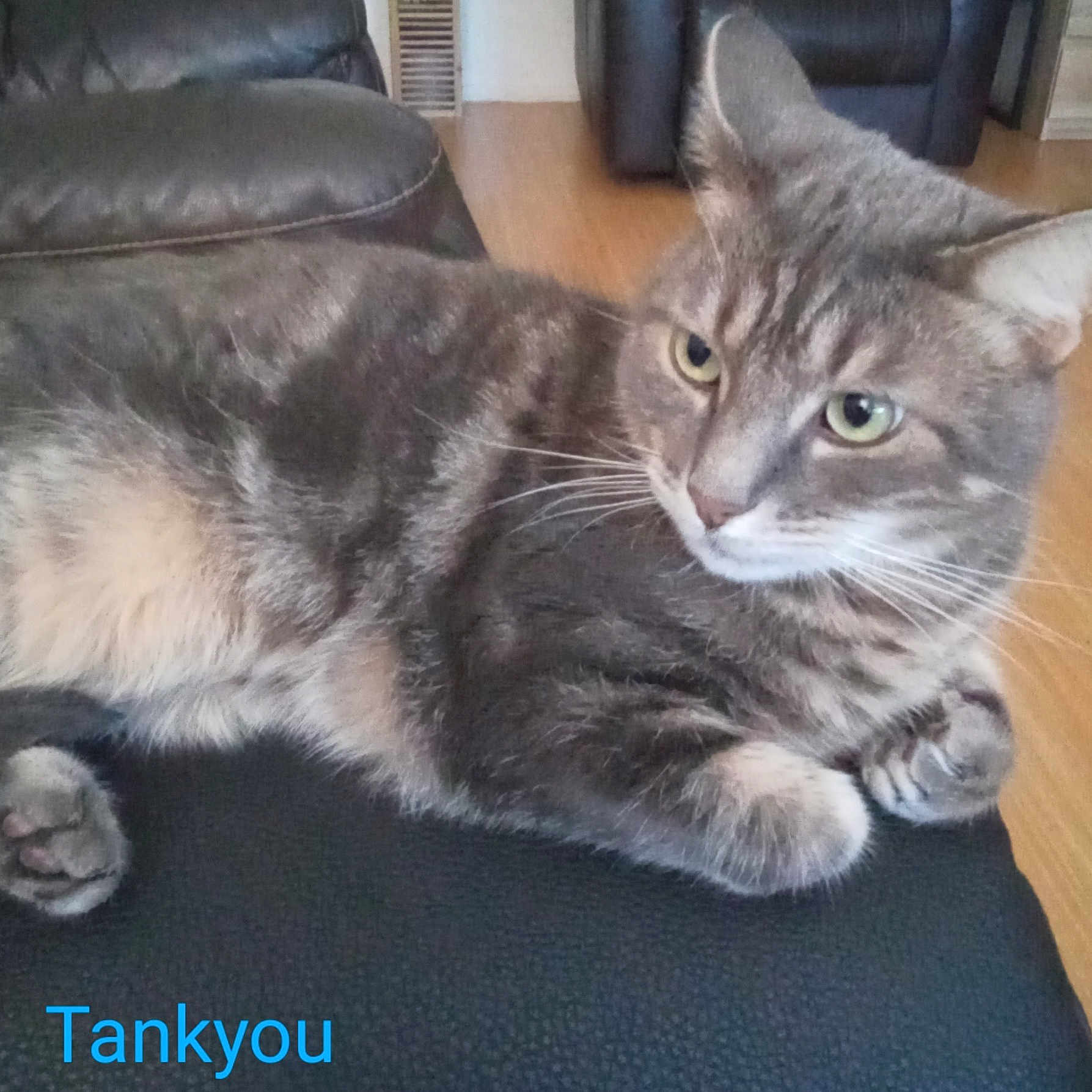 Tankyou