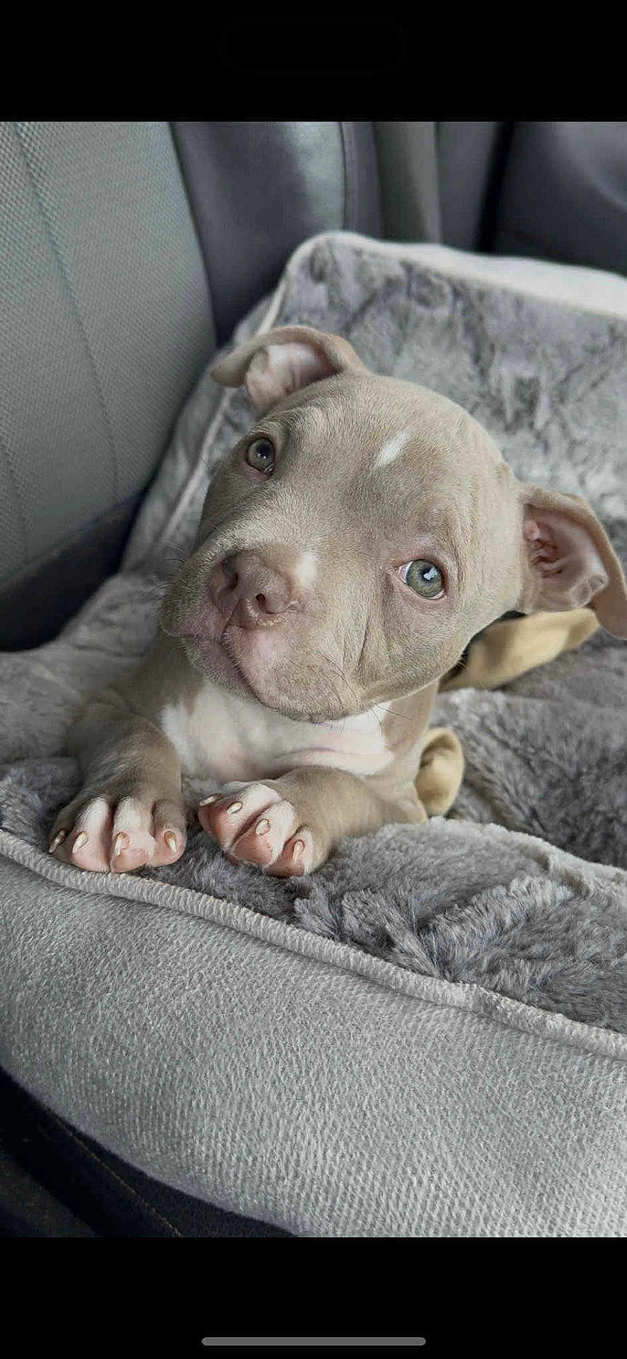 Kilo