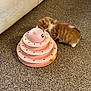 kitten, cat, pet, toy, carpet, indoor, curious, orange_fur, white_fur, striped, fluffy, small, playing, couch, floor, multi_tier, ball, pet_toy, home, animal