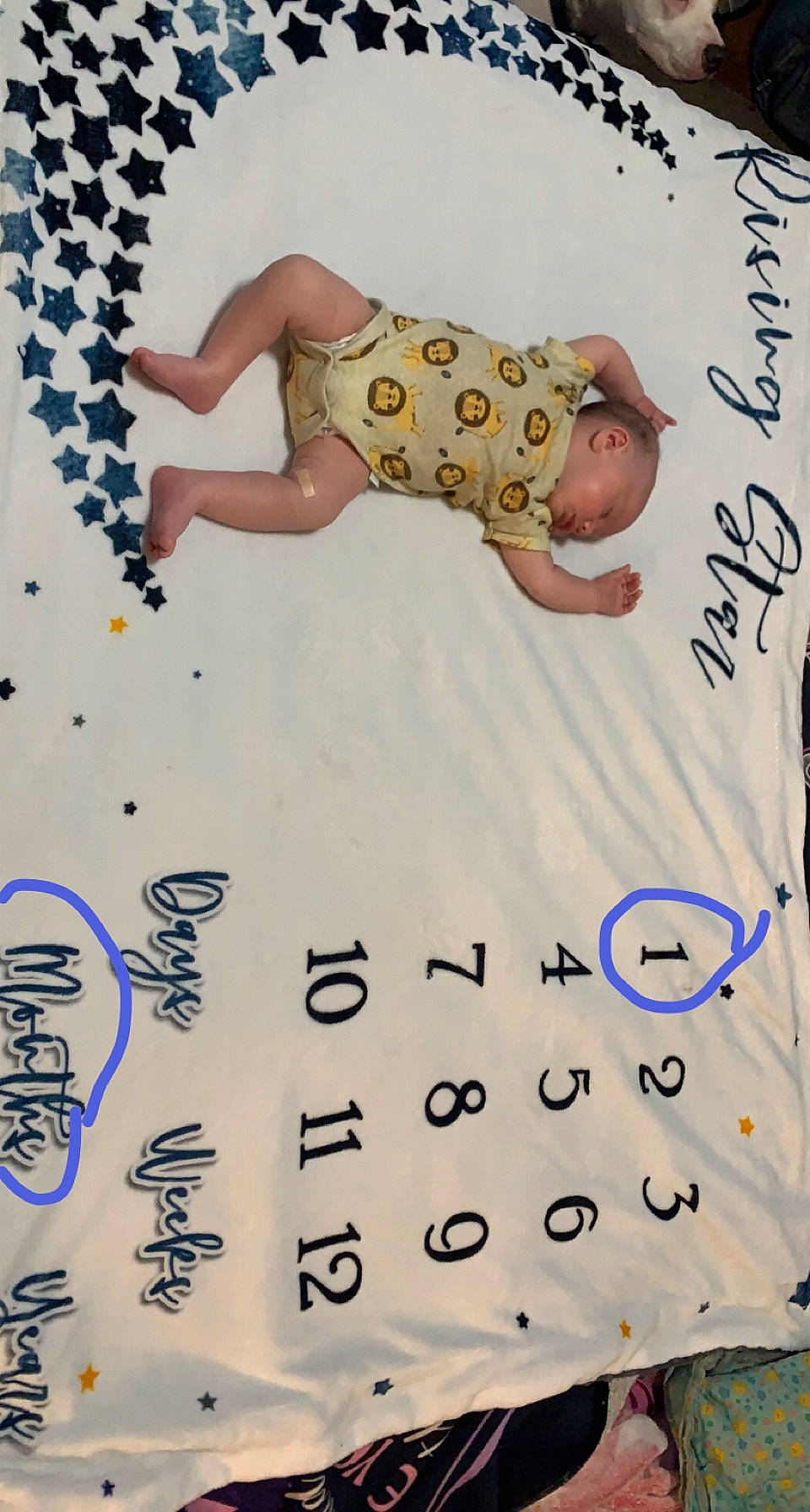 Daxton is registered to the contest to win money with this photo: art, baby, baby_toddler_clothing, child, event, font, gesture, handwriting, happy, linens, number, paper, paper_product, pattern, person, polka_dot, sleeve, toddler, white, writing