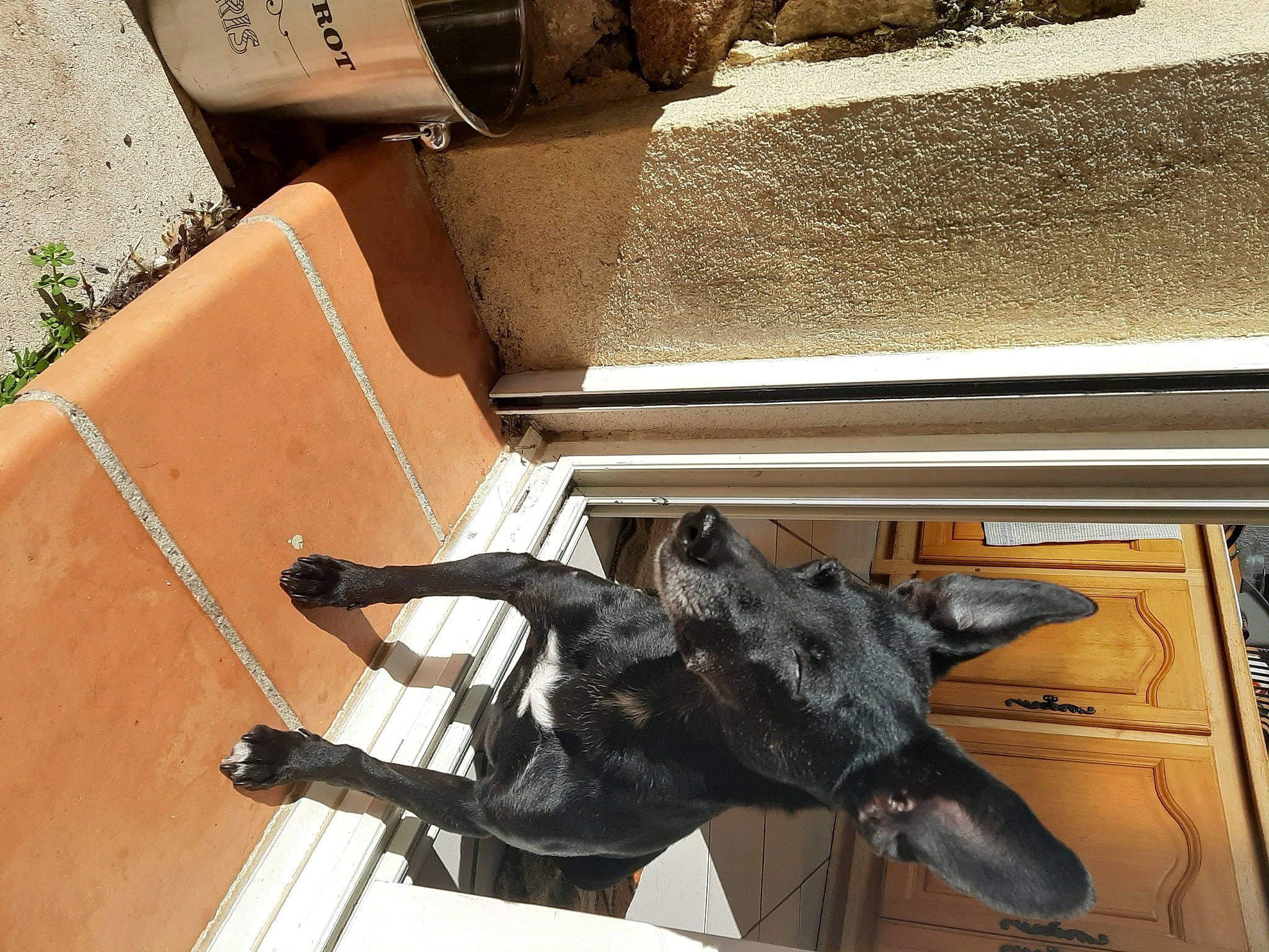 Izys a rejoint le concours — aidez-le/la à gagner de superbes lots ! art, bronze, bronze_sculpture, bumper, gas, hardwood, hat, helmet, metal, plywood, room, sculpture, snout, soil, statue, wing, wood, working_animal