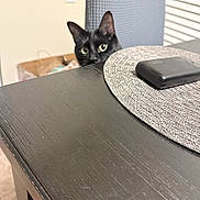 Mr.kitty joined the competition — help win amazing prizes! cat, black_cat, pet, peeking, dining_table, placemat, chair, wood_table, green_eyes, ears, whiskers, indoor, curious, close_up, home, furniture, tabletop_object, domestic_animal, portrait, sneaky