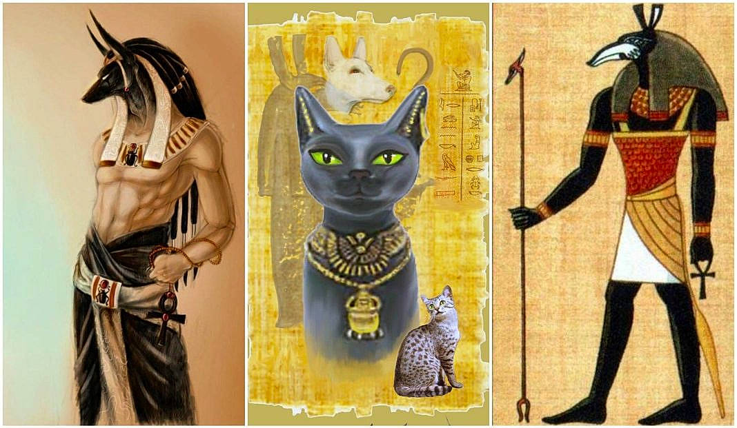 NÄmeur participe au concours pour gagner de l'argent avec cette photo : art, black_cat, carnivore, cat, collage, felidae, fictional_character, illustration, small_to_medium_sized_cats, sphynx