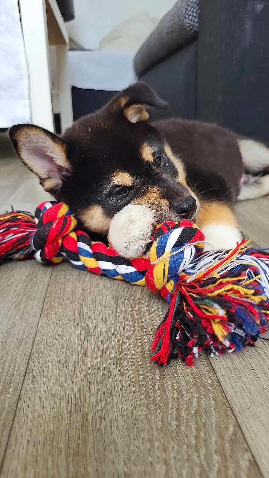 Ayko