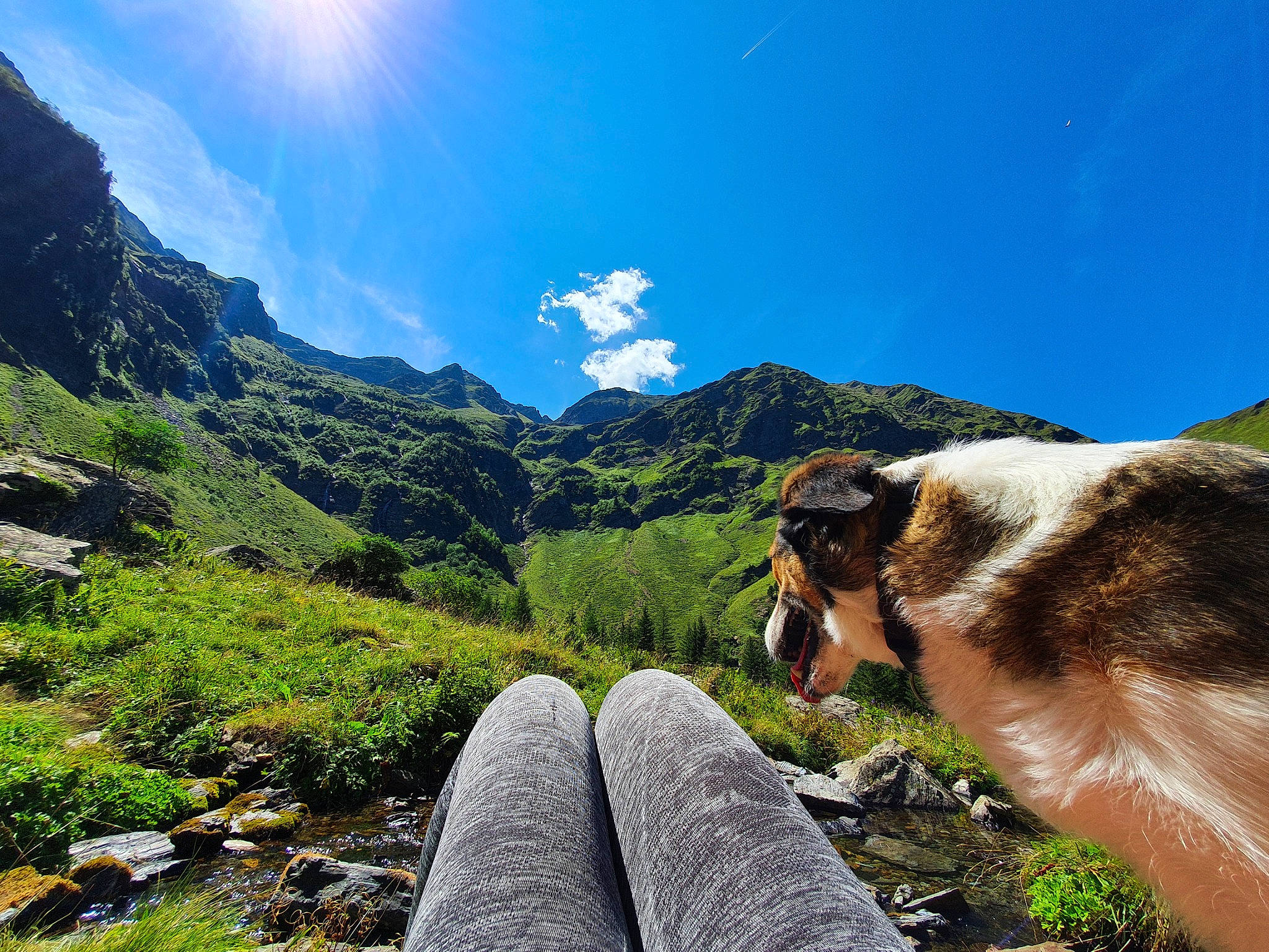 Loulou a rejoint le concours — aidez-le/la à gagner de superbes lots ! cloud, grass, grassland, hill, landscape, leisure, light, meadow, mountain, mountain_range, mountainous_landforms, natural_landscape, nature, people_in_nature, plant, recreation, sky, slope, sunlight, travel