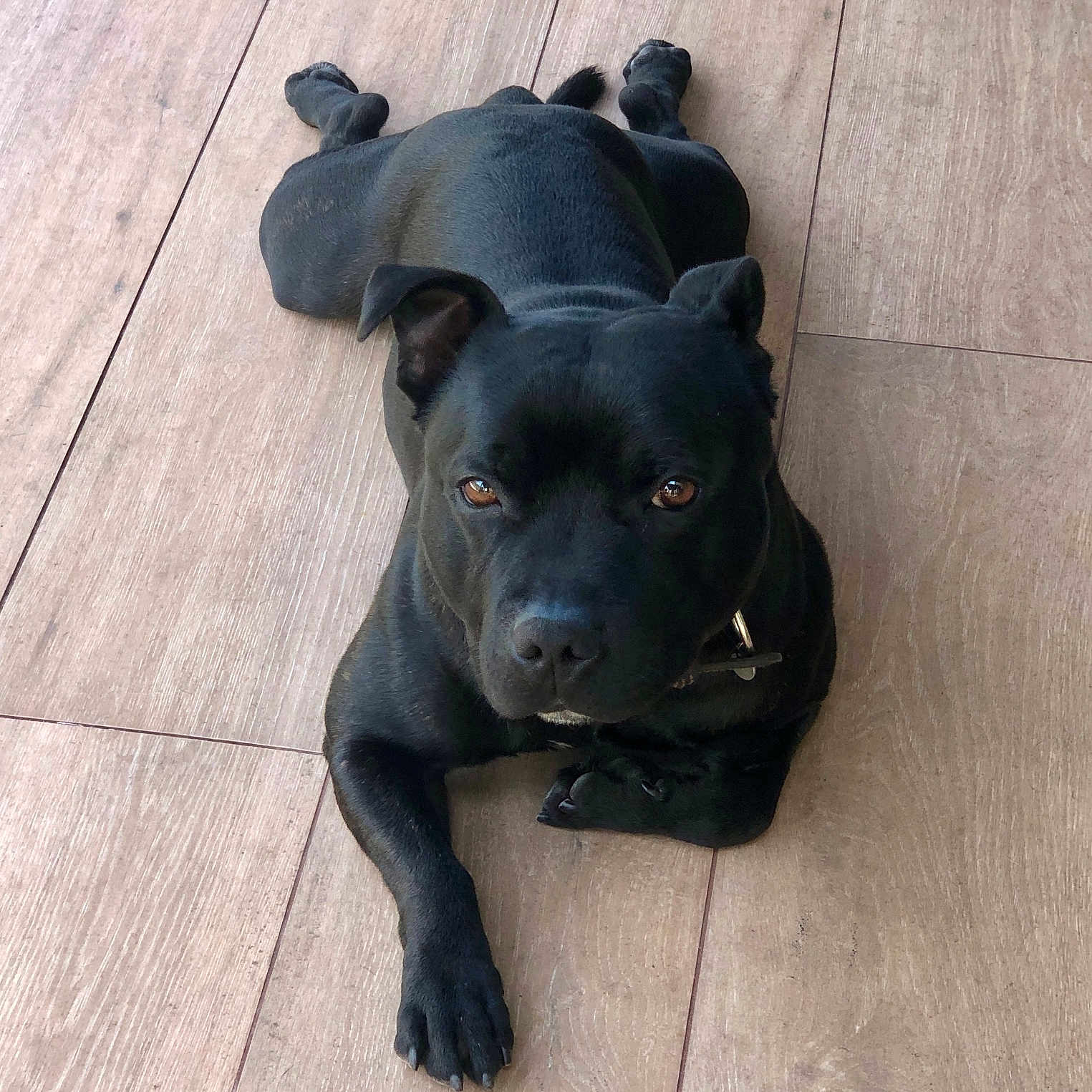 Usko
