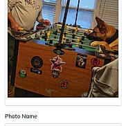 Samson joined the competition — help win amazing prizes! activity, blinds, brown_dog, casual, competition, dog, focus, foosball_table, fun, game, indoor, light, man, person, pet, playing, room, stickers, table, window