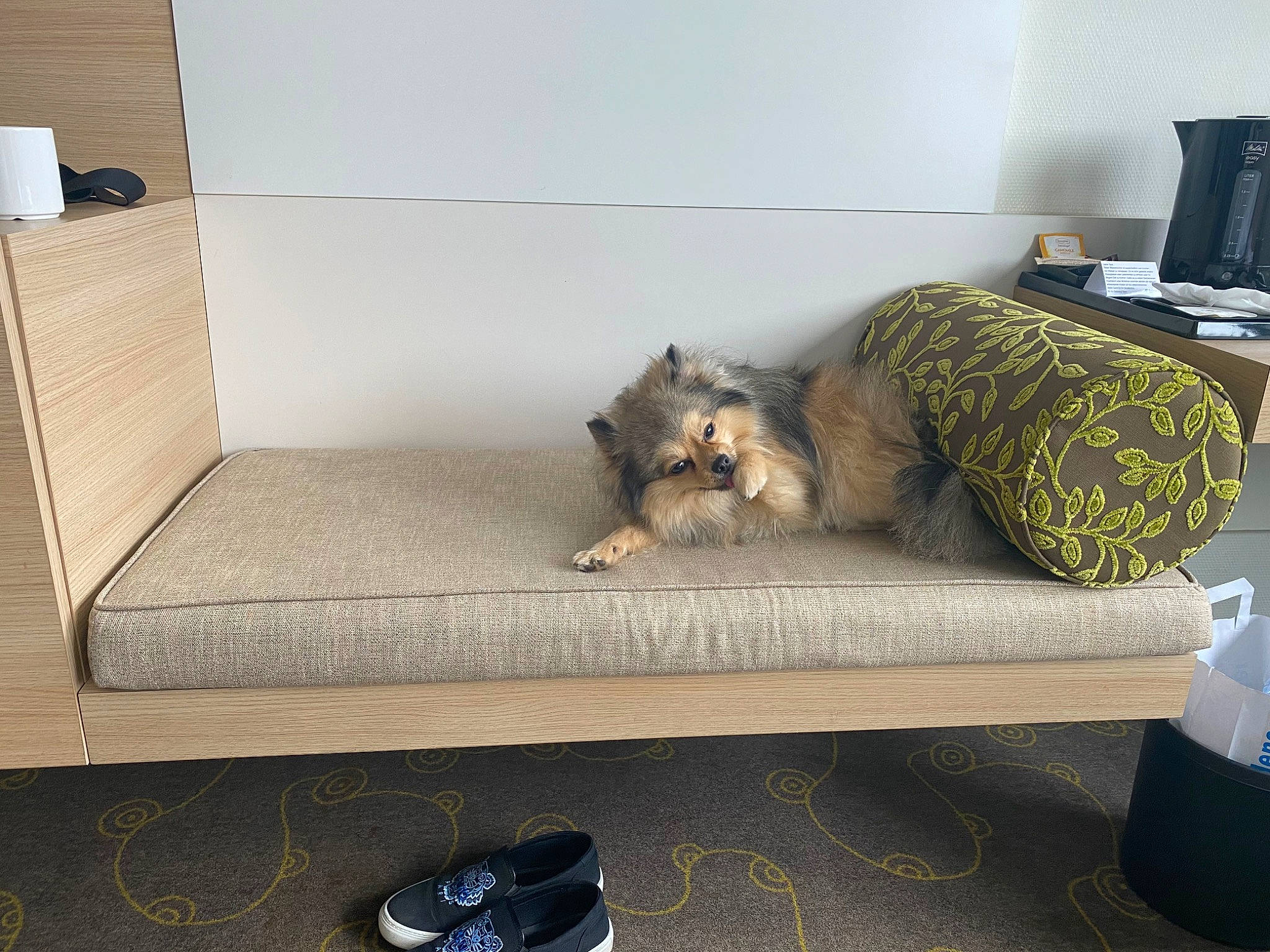 Pouky participe au concours pour gagner de l'argent avec cette photo : carnivore, cat, comfort, companion_dog, couch, felidae, floor, flooring, furniture, grey, hardwood, living_room, outdoor_furniture, room, small_to_medium_sized_cats, studio_couch, table, tail, whiskers, wood