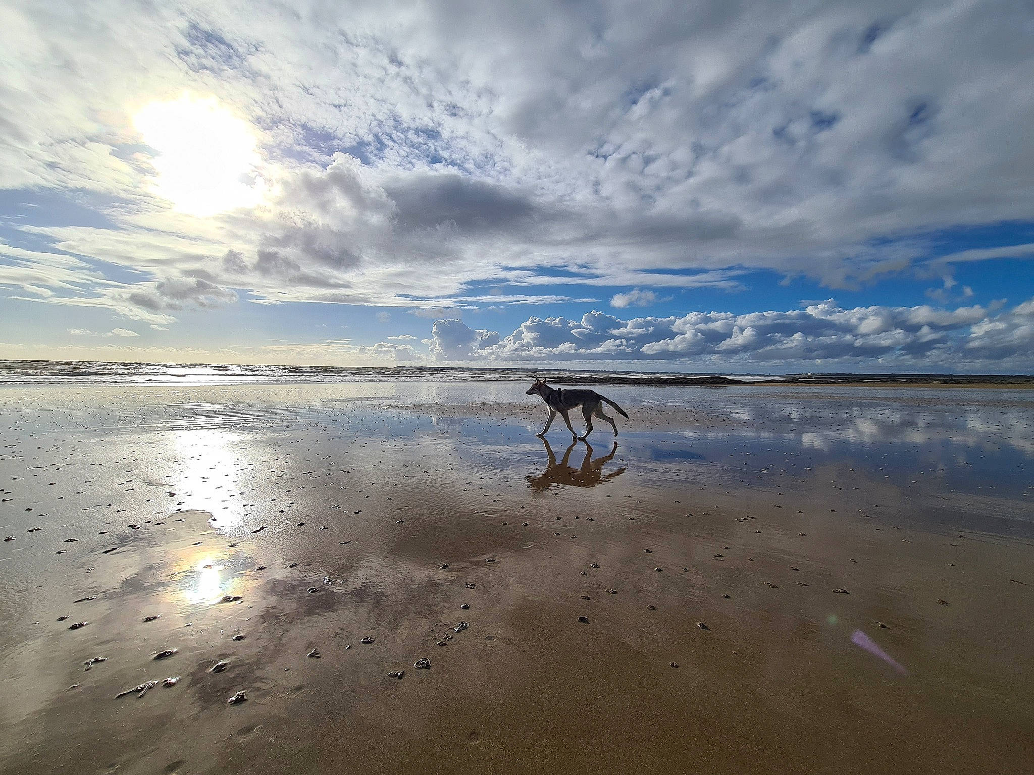Liberty a rejoint le concours — aidez-le/la à gagner de superbes lots ! beach, calm, cloud, coast, coastal_and_oceanic_landforms, cumulus, fluid, horizon, landscape, liquid, natural_landscape, reflection, sand, shore, sky, water, wave, wetland, wind_wave, wood