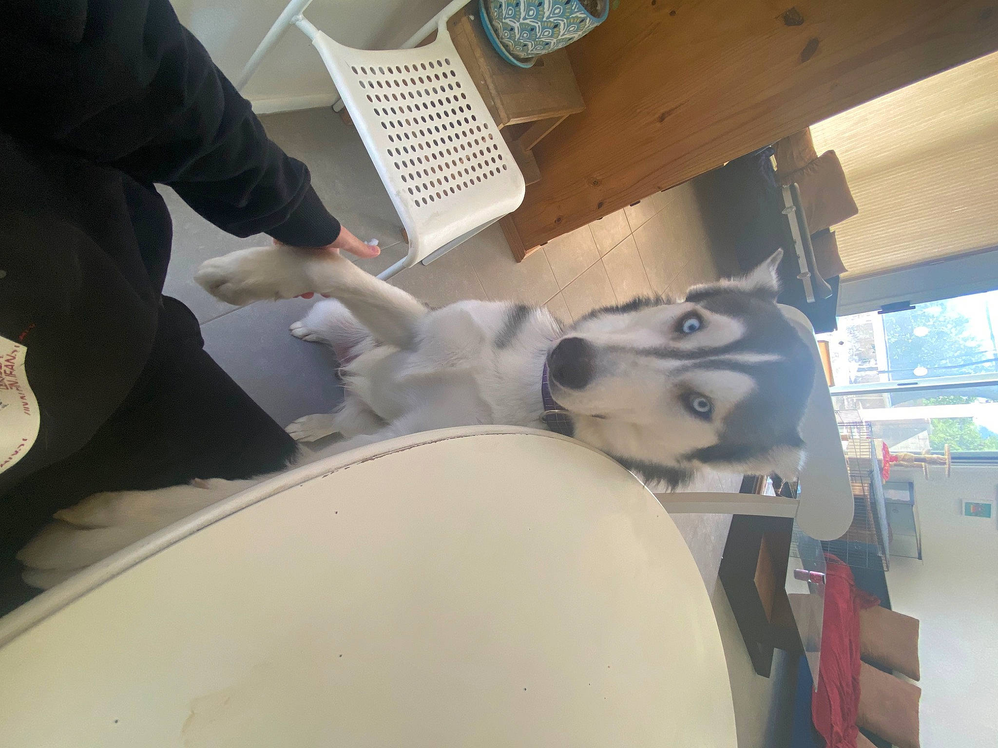 Keanu joined the competition — help win amazing prizes! aerospace_engineering, auto_part, automotive_design, automotive_exterior, automotive_tire, automotive_wheel_system, automotive_window_part, bumper, elbow, engineering, gas, glove, hood, human_leg, machine, motor_vehicle, room, service, windshield, wood