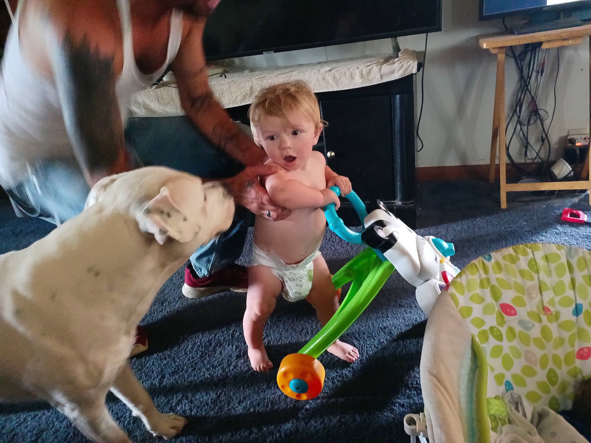 Hunter joined the competition — help win amazing prizes! baby, baby_products, barechested, chest, child, companion_dog, event, fawn, fun, grass, lap, leisure, person, recreation, shorts, sitting, stuffed_toy, surprise, television, thigh