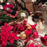 Buttercups joined the competition — help win amazing prizes! accessories, baby, christmas, christmasdecorations, face, festival, figurine, flower, flowerarrangement, flowerbouquet, head, indoors, interiordesign, person, petal, plant, plush, pottedplant, rose, toy