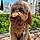 Zoey
