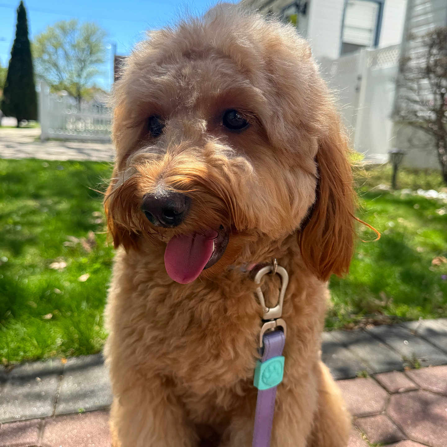 Zoey