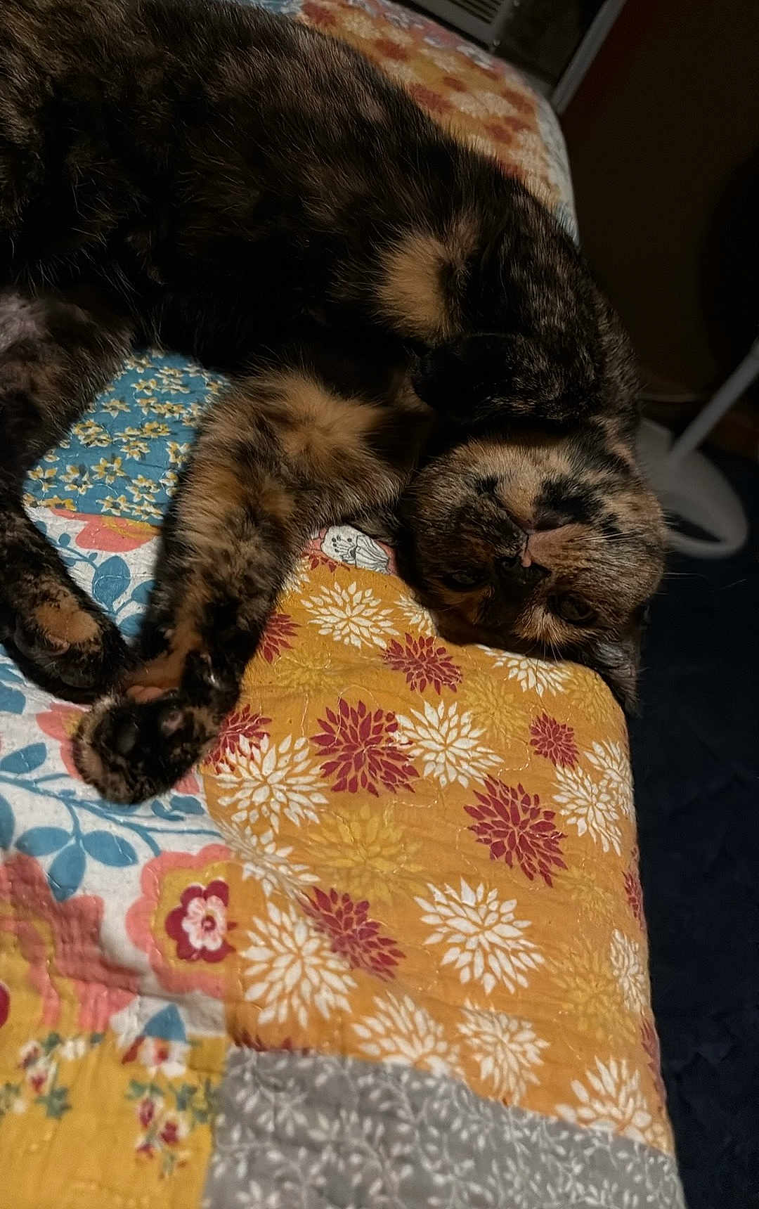 Luna