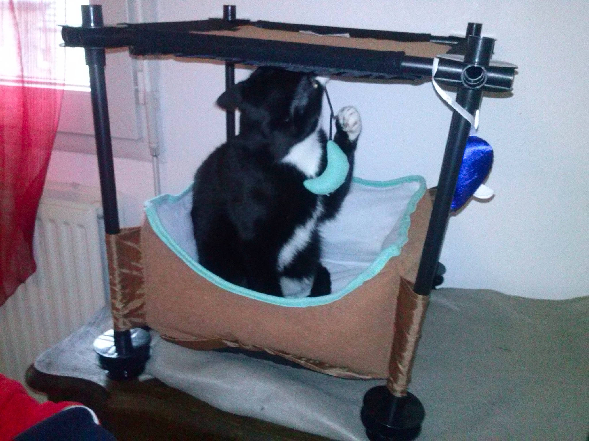 Grefier participe au concours pour gagner de l'argent avec cette photo : armrest, carnivore, cat, cat_furniture, cat_supply, dog_supply, felidae, pet_supply, small_to_medium_sized_cats, tail