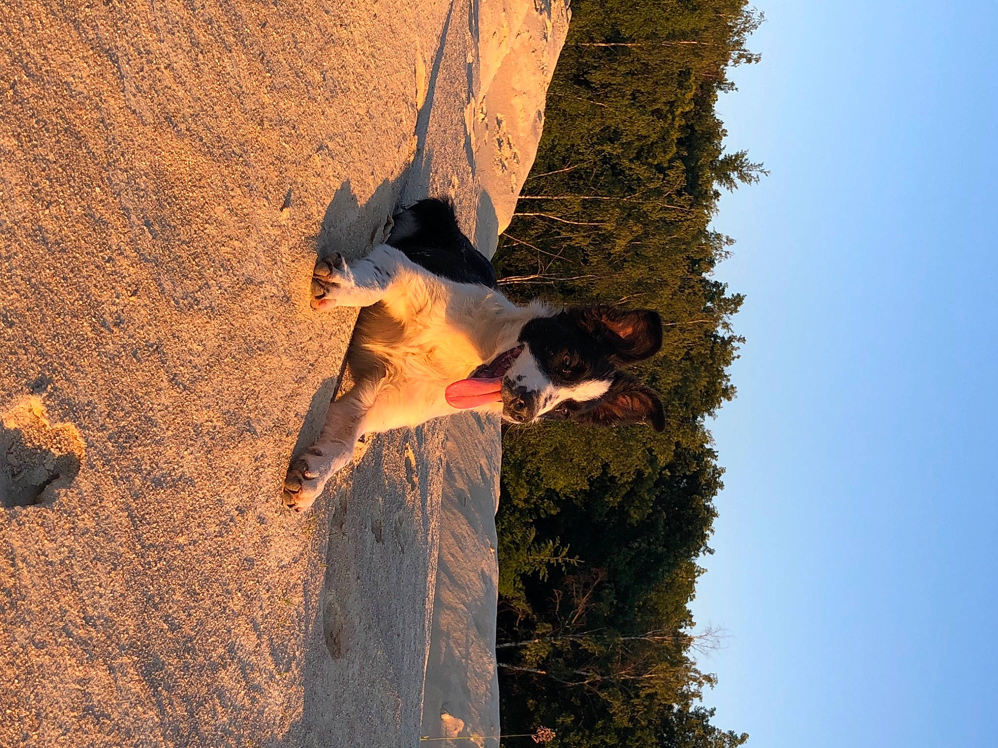 Asia a rejoint le concours — aidez-le/la à gagner de superbes lots ! autumn, branch, leaf, plant, shadow, sky, sunlight, tints_and_shades, tree, trunk, wood