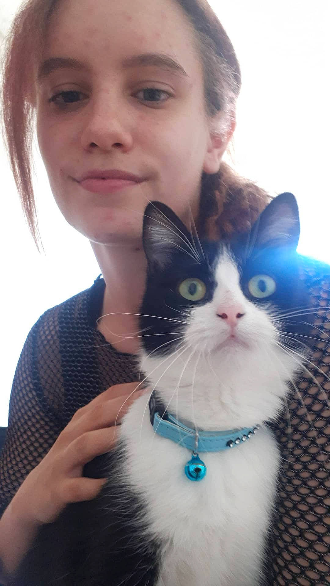 Diablesse participe au concours pour gagner de l'argent avec cette photo : black_hair, carnivore, cat, cheek, domestic_short_haired_cat, ear, eye, fashion_accessory, felidae, fur, hair, iris, kitten, neck, nose, ojos_azules, skin, small_to_medium_sized_cats, smile, whiskers