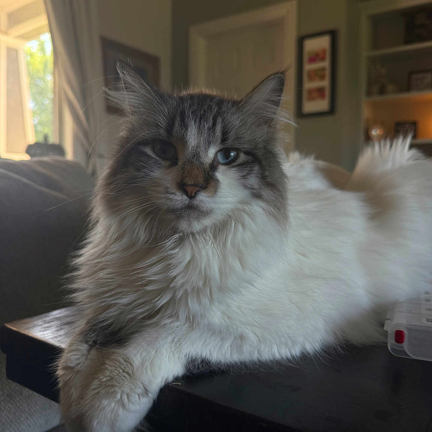 Carlos