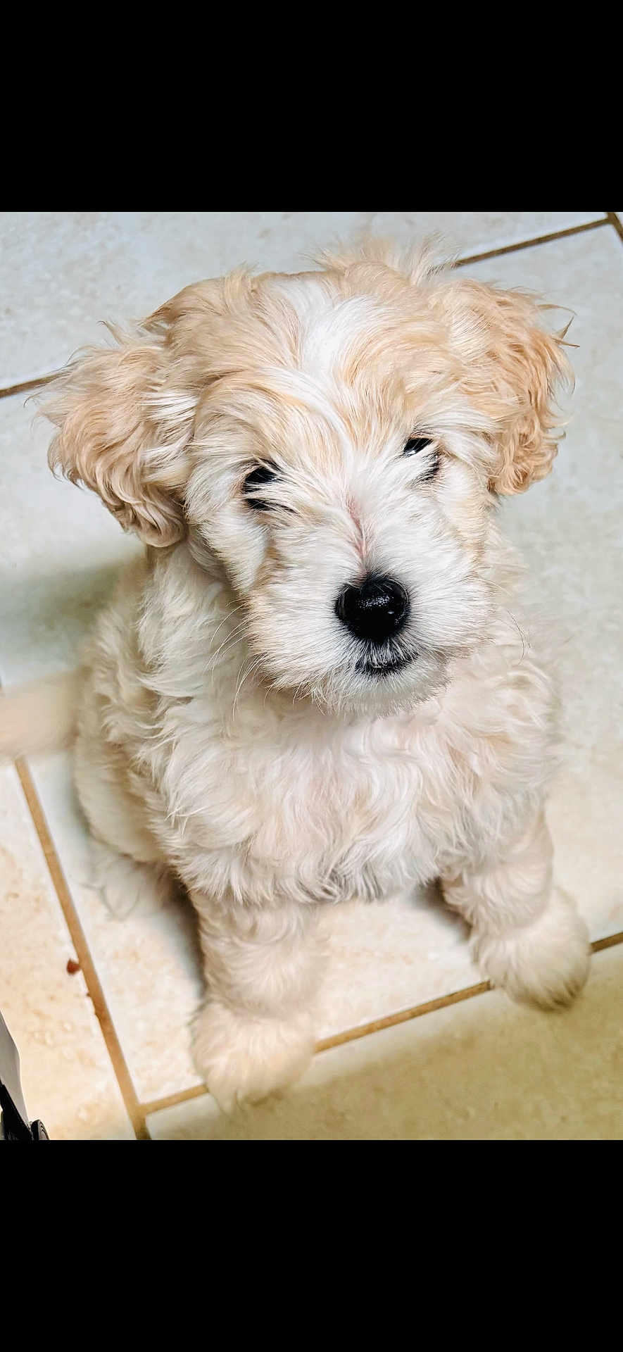 Lucy