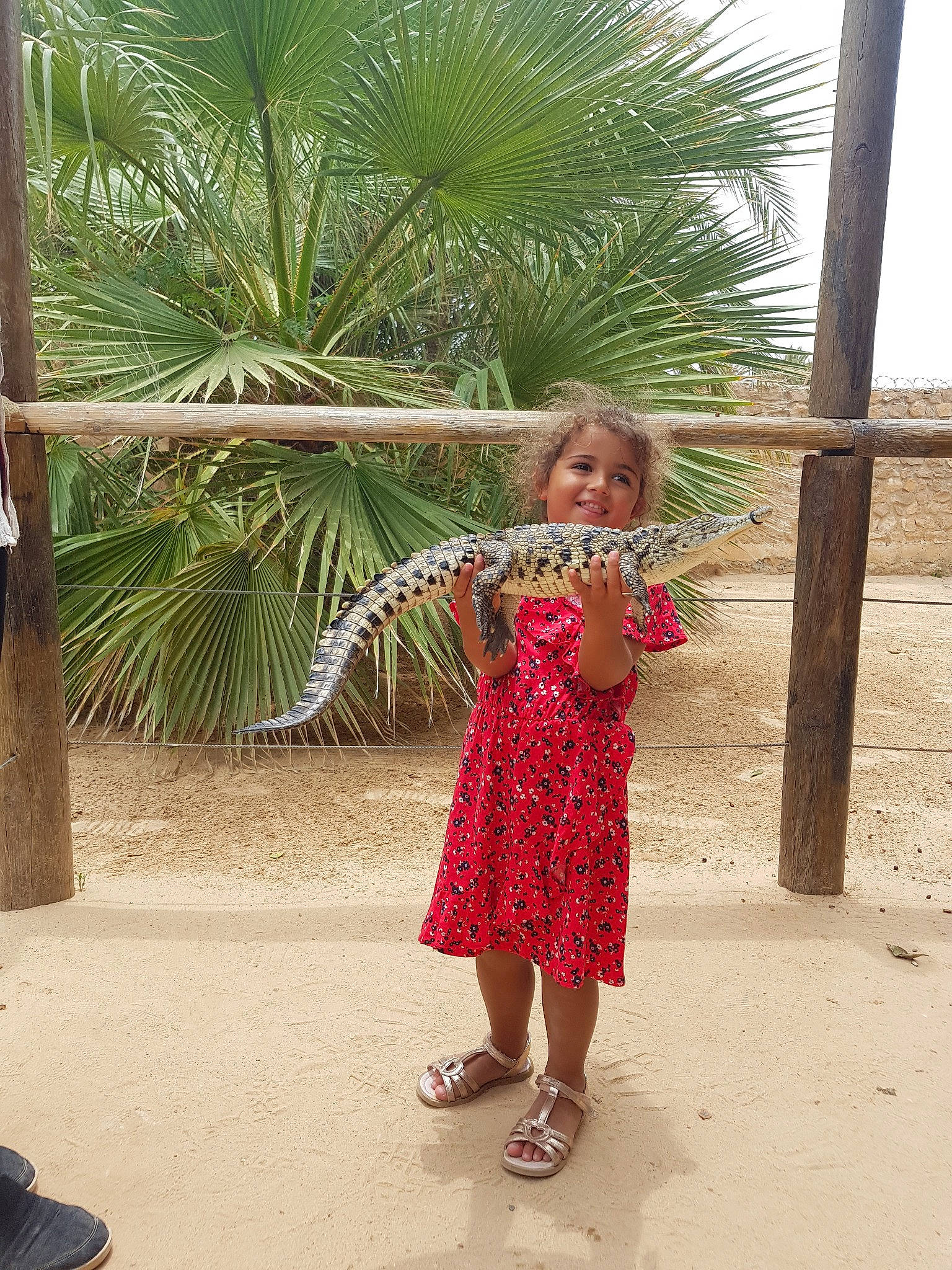 Nae participe au concours pour gagner de l'argent avec cette photo : adaptation, arecales, child, dress, fun, joy, palm_tree, person, plant, smile, summer, tree, vacation