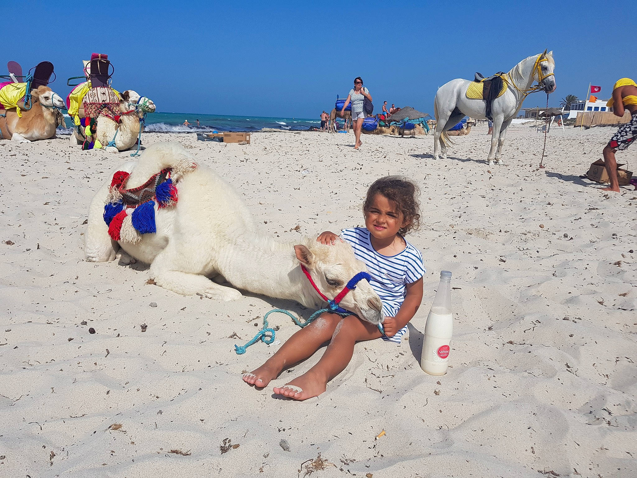 Nae participe au concours pour gagner de l'argent avec cette photo : beach, camel, child, fun, happy, holiday, joy, leisure, mountain, natural_environment, ocean, people_on_beach, person, play, sand, sea, summer, sun_tanning, tourism, travel