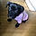 Chipie