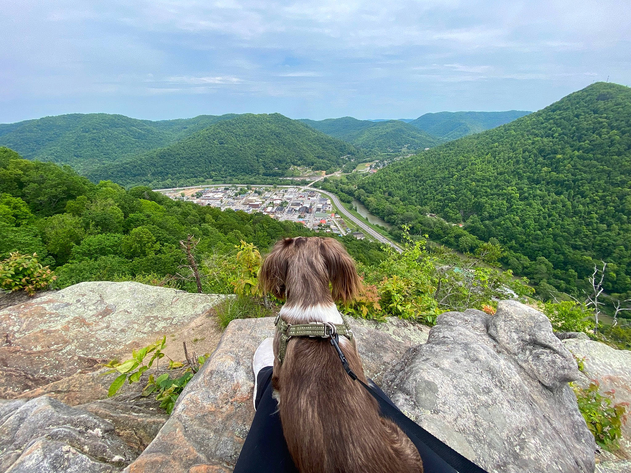 Kirby is registered to the contest to win money with this photo: bedrock, cloud, forest, grass, hill, landscape, leisure, mountain, mountain_range, mountainous_landforms, natural_landscape, outcrop, plant, recreation, road, sky, travel, tree, walking, working_animal