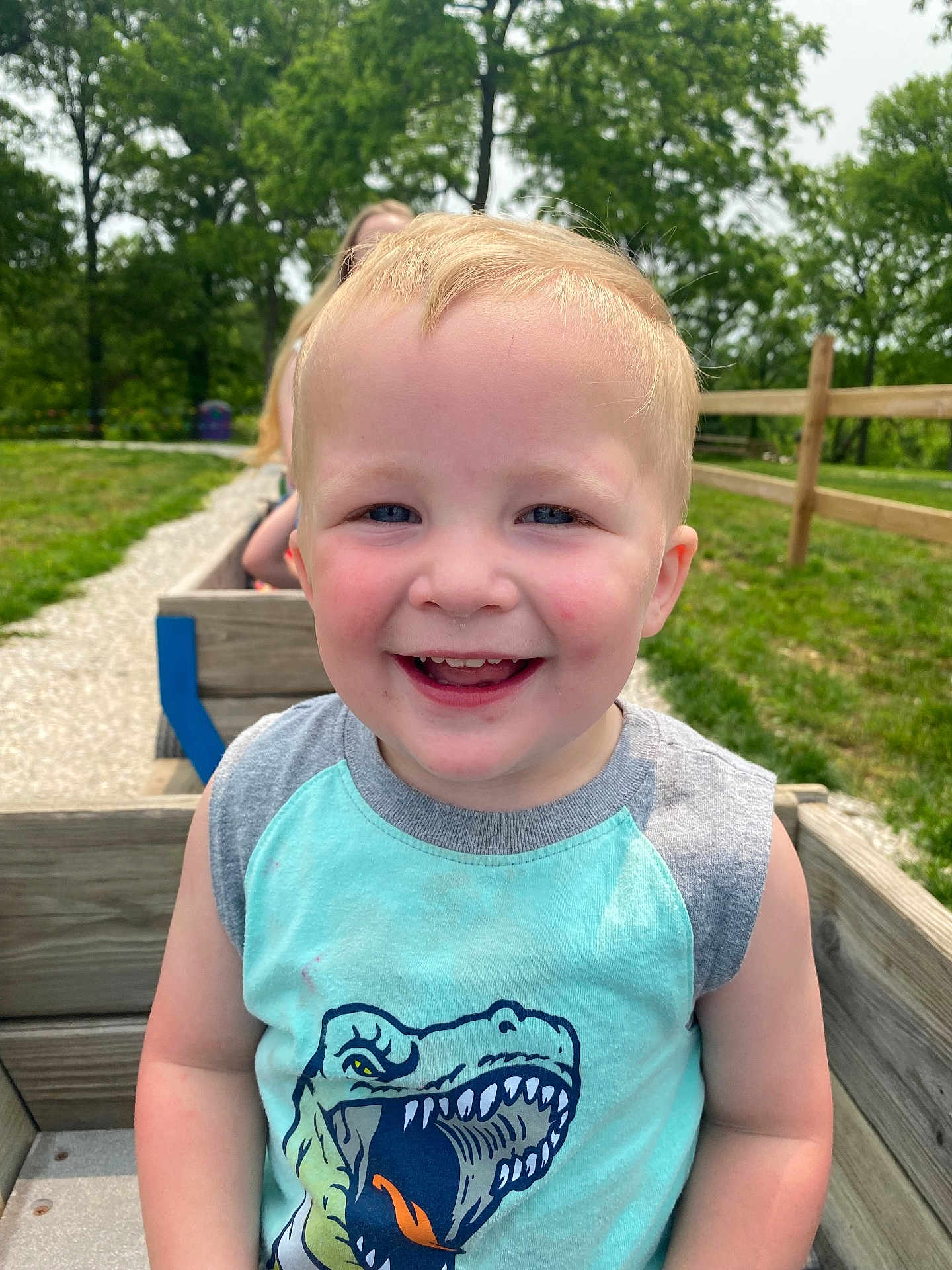 Emmett joined the competition — help win amazing prizes! child, toddler, smiling, portrait, outdoor, park, grass, wooden_wagon, fence, t_shirt, dinosaur_graphic, blond_hair, blue_eyes, candid, happy, close_up, sunlit, playtime, person, wooden_planks