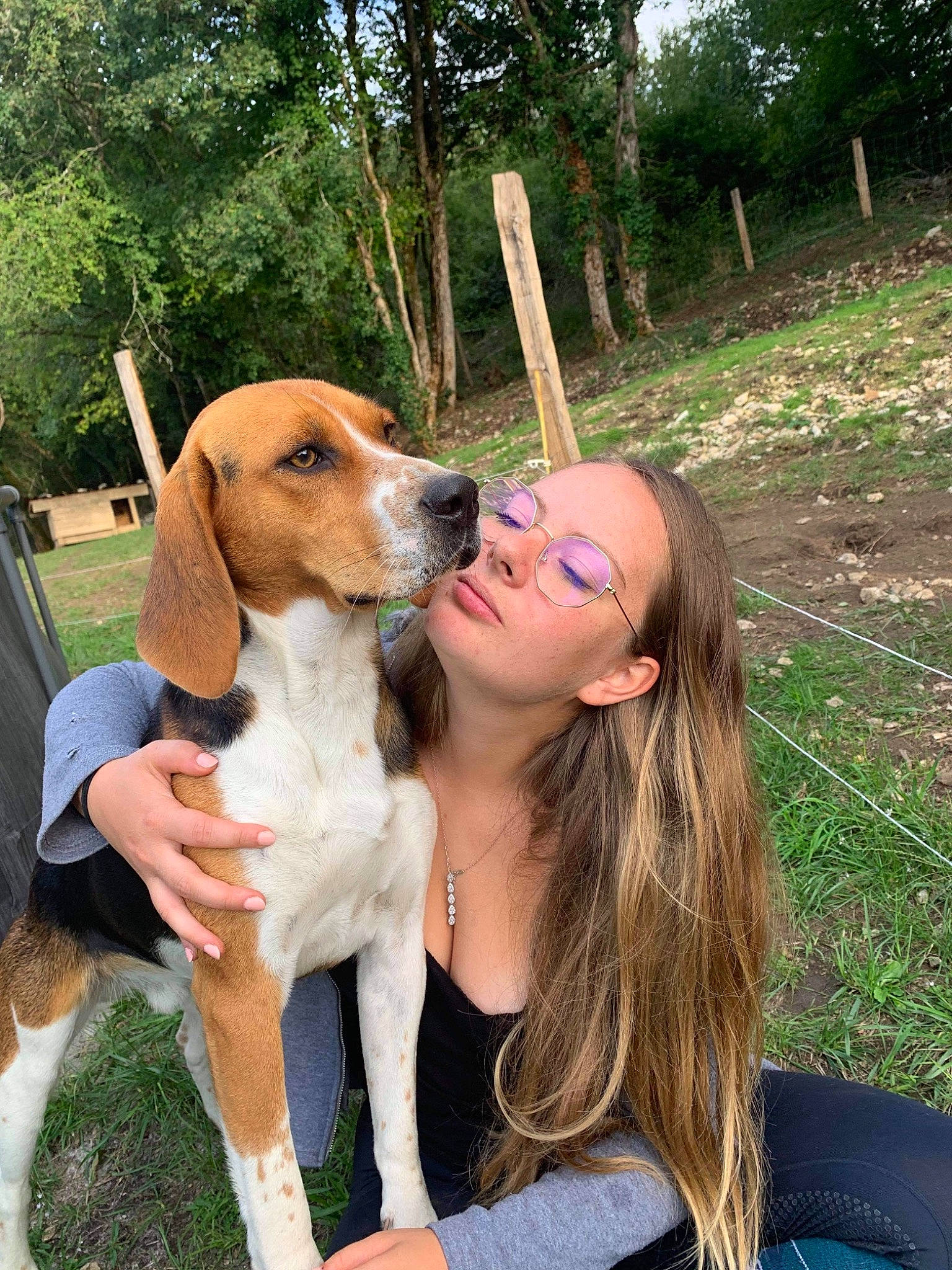 Phalco a rejoint le concours — aidez-le/la à gagner de superbes lots ! beagle_harrier, canidae, carnivore, collar, companion_dog, dog, dog_breed, fawn, fun, fur, grass, happy, hound, leisure, people_in_nature, plant, recreation, scent_hound, sporting_group, tree