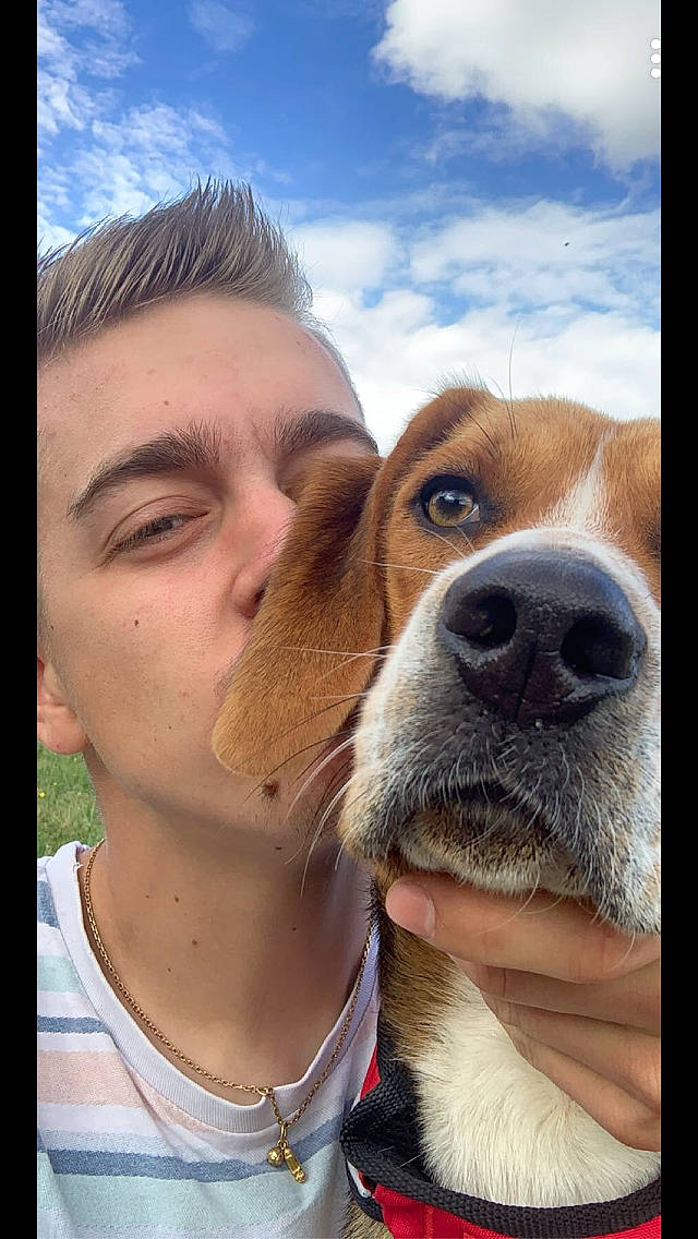 Phalco participe au concours pour gagner de l'argent avec cette photo : canidae, carnivore, cloud, companion_dog, dog, dog_breed, ear, eyewear, face, fawn, gesture, happy, jaw, nose, selfie, sky, snout, sporting_group, whiskers, working_animal