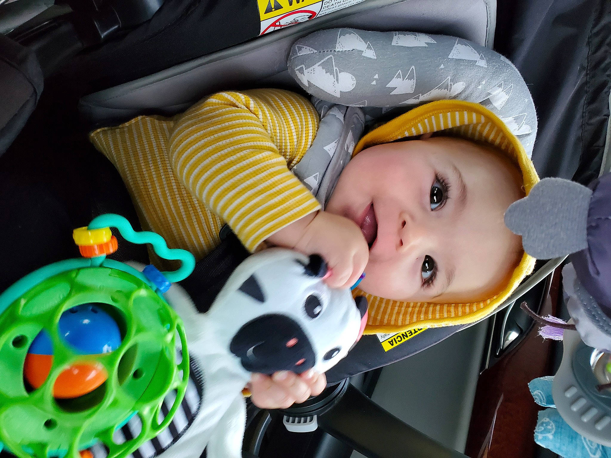 Archer is registered to the contest to win money with this photo: auto_part, baby, baby_products, baby_toddler_clothing, car_seat, car_seat_cover, child, fun, hat, headgear, mammal, mouth, nose, organ, person, product, sun_hat, toddler, toy, vehicle_door