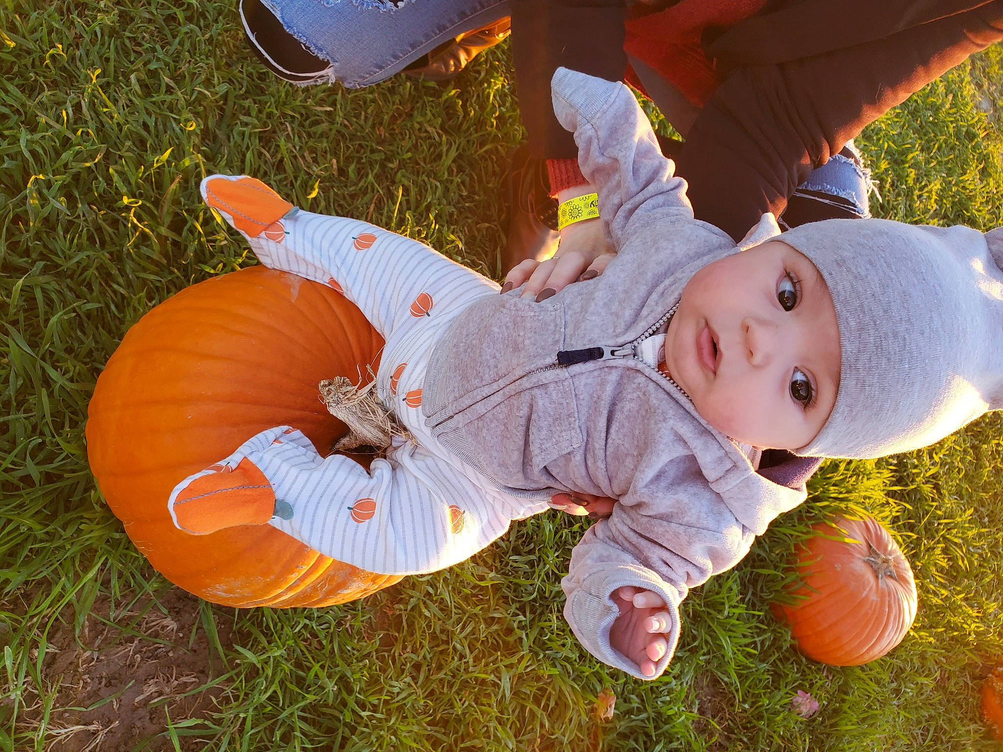 Archer is registered to the contest to win money with this photo: baby, baby_toddler_clothing, ball, calabaza, child, fun, grass, happy, hat, headwear, lawn, leisure, orange, people_in_nature, person, plant, pumpkin, recreation, sitting, toddler